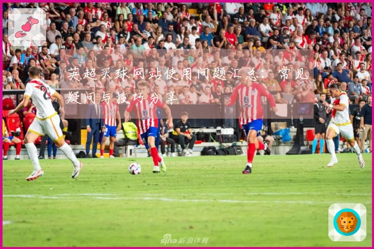 英超买球网站使用问题汇总：常见疑问与技巧分享