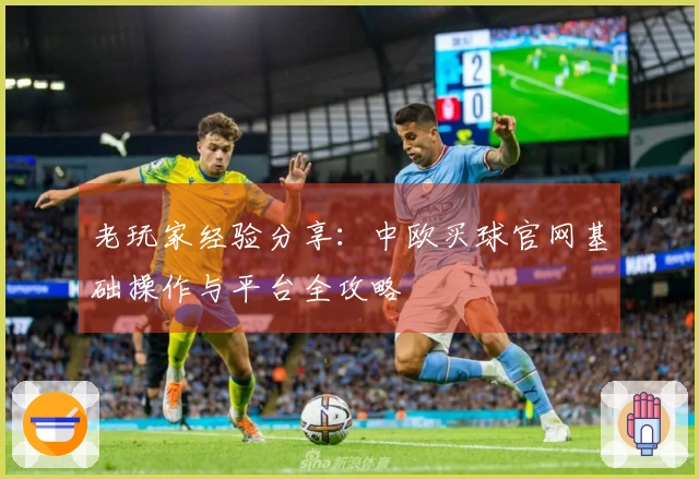 老玩家经验分享：中欧买球官网基础操作与平台全攻略