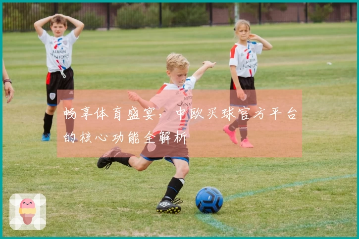 畅享体育盛宴，中欧买球官方平台的核心功能全解析