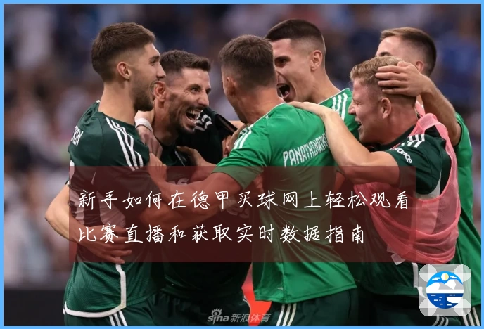 新手如何在德甲买球网上轻松观看比赛直播和获取实时数据指南