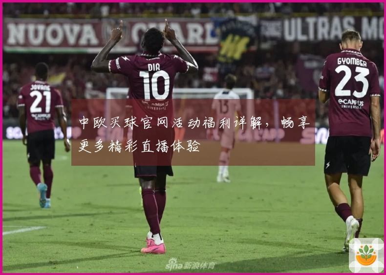 中欧买球官网活动福利详解，畅享更多精彩直播体验